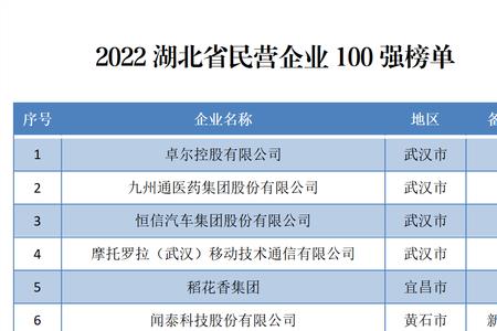 武汉10强企业