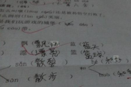 楚组词四个字