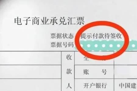 承兑人的前手是什么意思