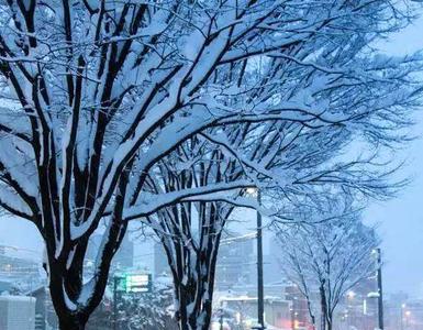 室内雪景提前下雪的文案