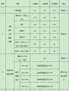 重庆生育津贴报销流程