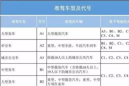 雷丁驾驶证需要c几