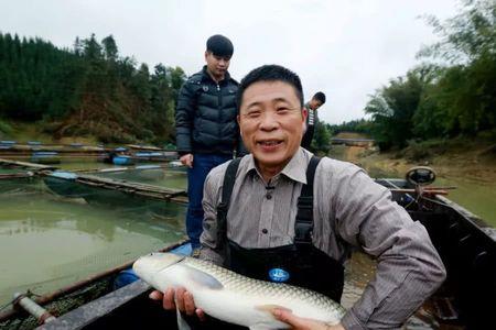 广西淡水鱼养殖最多的地方