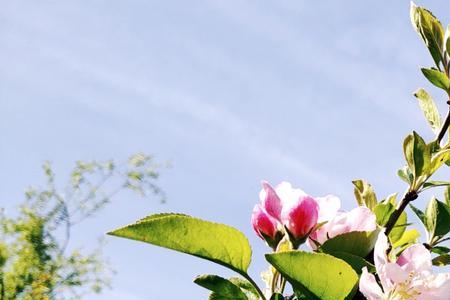 阳春三月是见面的好季节