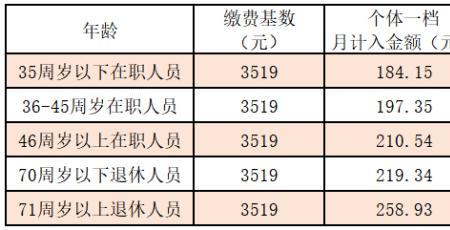 安徽安庆灵活就业2022缴费标准