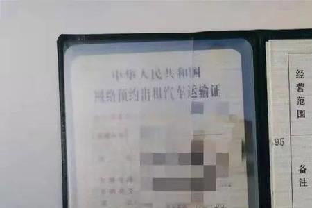 为什么拿到营运证还查不出来