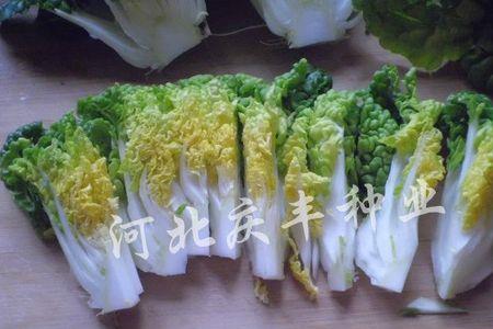 乌条是什么蔬菜