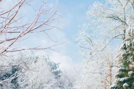 别倒在大雪封山前出自哪里