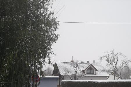 下雪为什么要扫房子上的雪