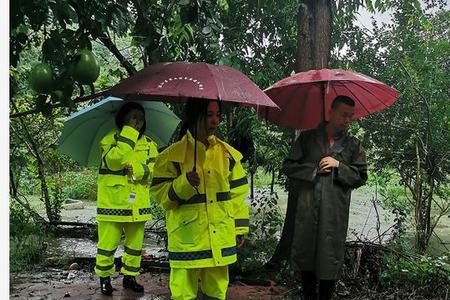 形容冒雨前行的诗词