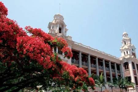 香港大学三大学科