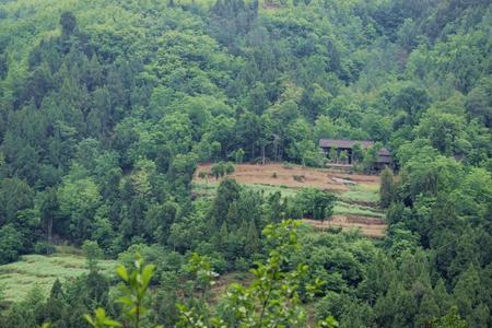 山上山下山连山谜底