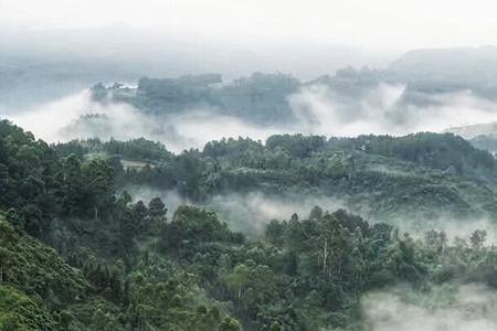 雾山璞隐什么意思