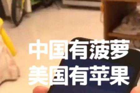 菠萝手机是什么