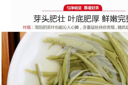 雅安毛尖特征