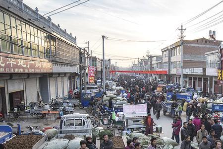 安阳有药材交易市场吗