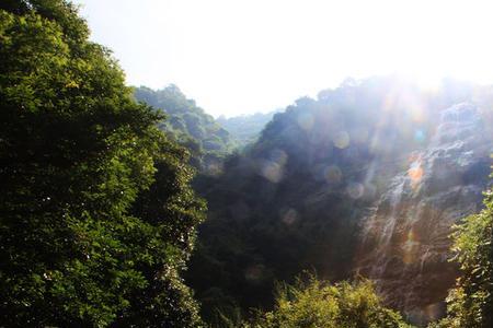 庐山桃花源金峰岭海拔