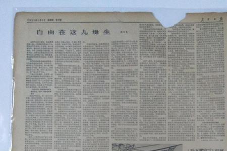 1963年1月3日生属什么