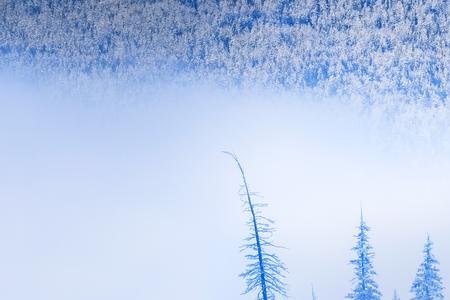 白雪皑皑的什么填空