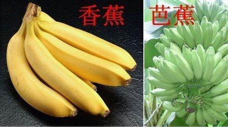 为什么芭蕉有一股脚臭味