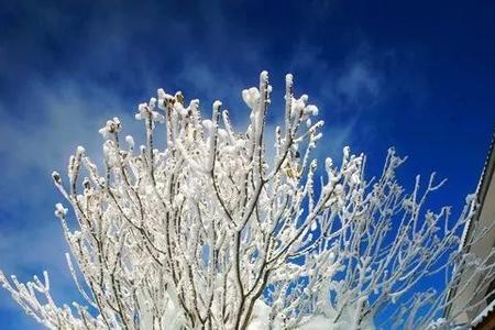 冬季里雪初晴的初是什么意思