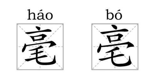 毛底下一个至是什么字