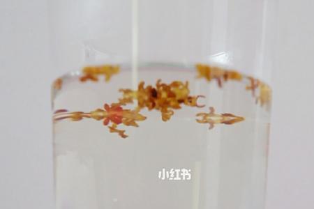 桂花蜜里有虫还能吃吗