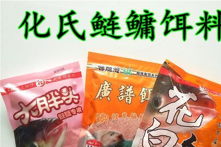 广东钓鲢鳙用什么饵料