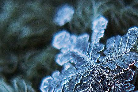 一片什么样的雪花成语