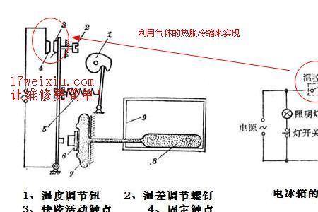 小冰箱温度保护器是哪根线