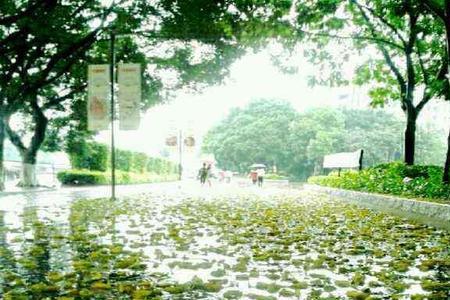 秋雨绵绵是什么意思