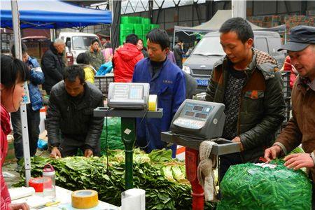 农批市场做什么生意好