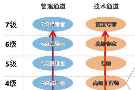 国家最新人才储备标准