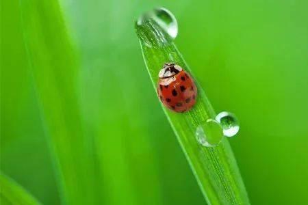 春雷响了起来扩句