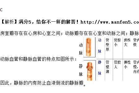 肺循环终止于哪里