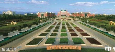 西北农林科技大学机电系怎么样