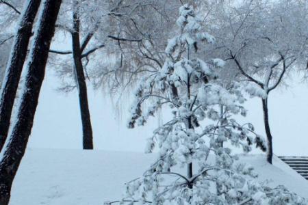 可以用傲雪欺霜形容的人