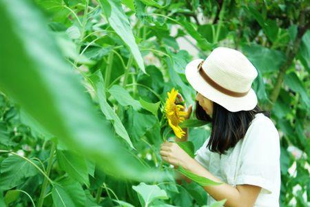 女生给你发花的照片怎么回