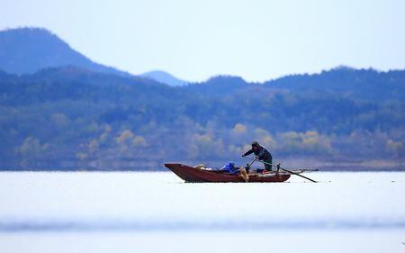 唐指山水库拍鸟地点