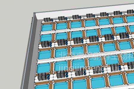 工厂化循环水养殖如何布管