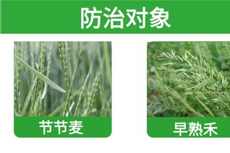 麦地除草剂与营养液能混合用吗