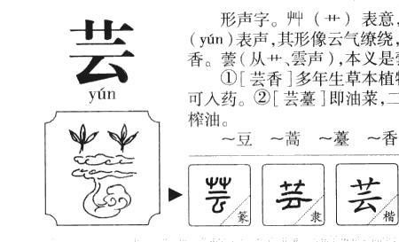 沁芸名字的含义是什么