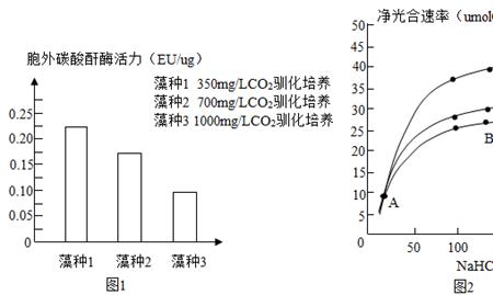 黑藻光合作用光照强度