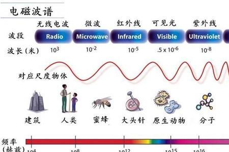 电磁波谱和光谱有什么区别