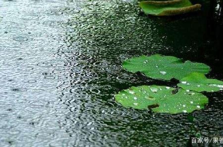 形容屋外小雨的宋词