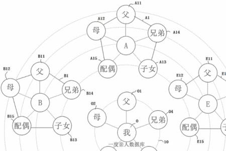 家谱是一个家族的血缘脉络