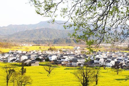 山村咏怀  白居易