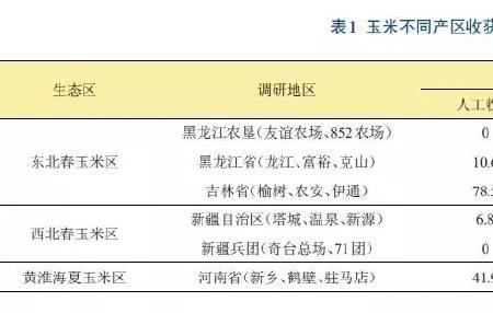 今年玉米有收益吗