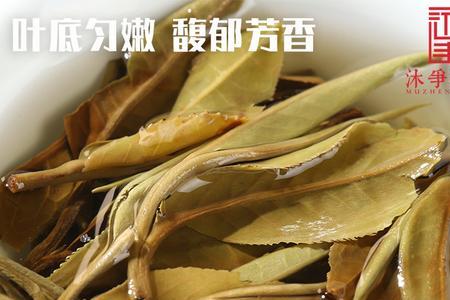 白茶豆和紫茶豆有什么不一样