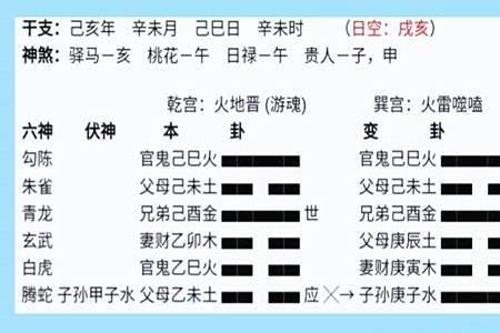 动爻静爻变爻怎么区分